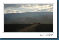 Postkarte Rum�nien b.jpg